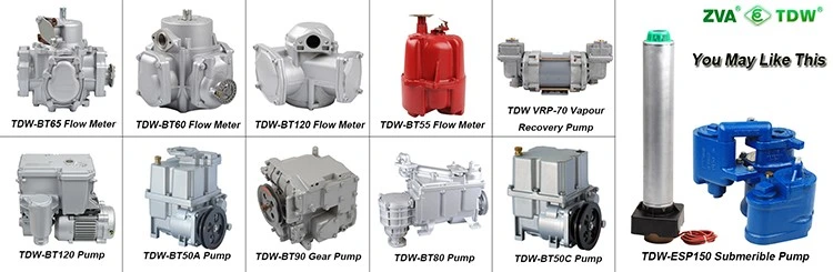 Fuel Pump Engine Parts for Gas Station Equipment