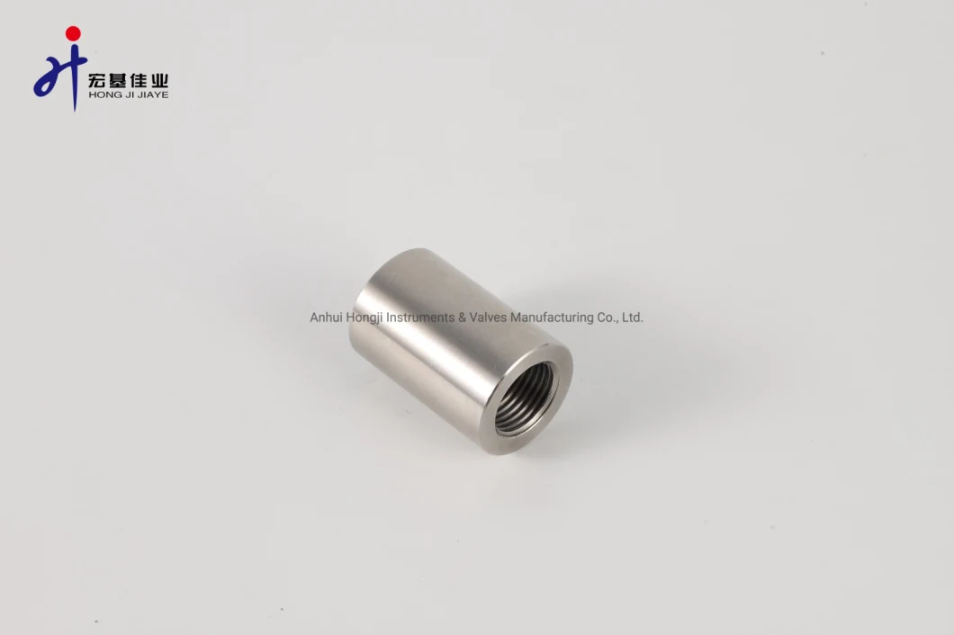 1/4-3/4inch NPT Inch Hydraulic Fitting Forged 304 Stainless Steel Female NPT Tube Adapters