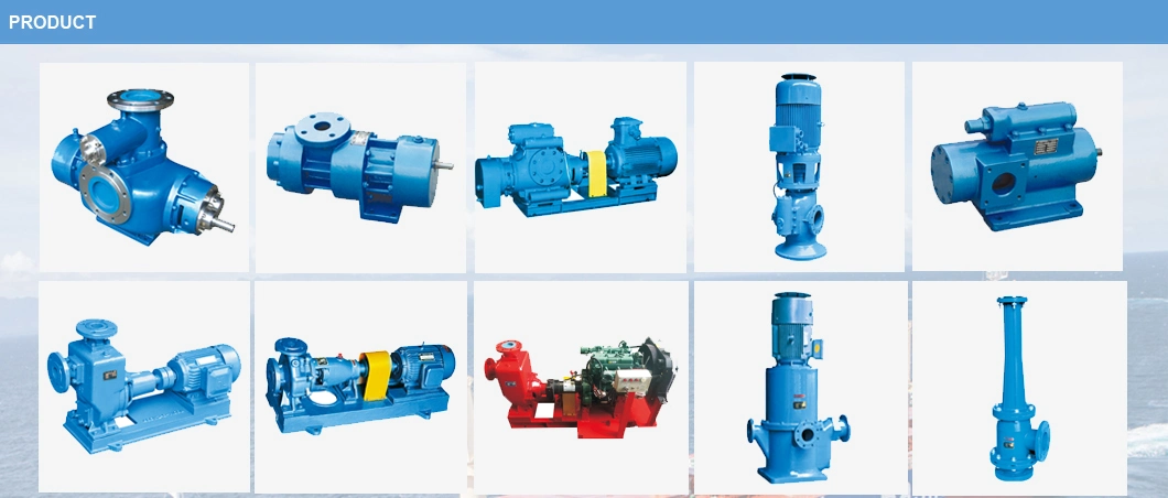 2cy LPG Gear Oil Pump