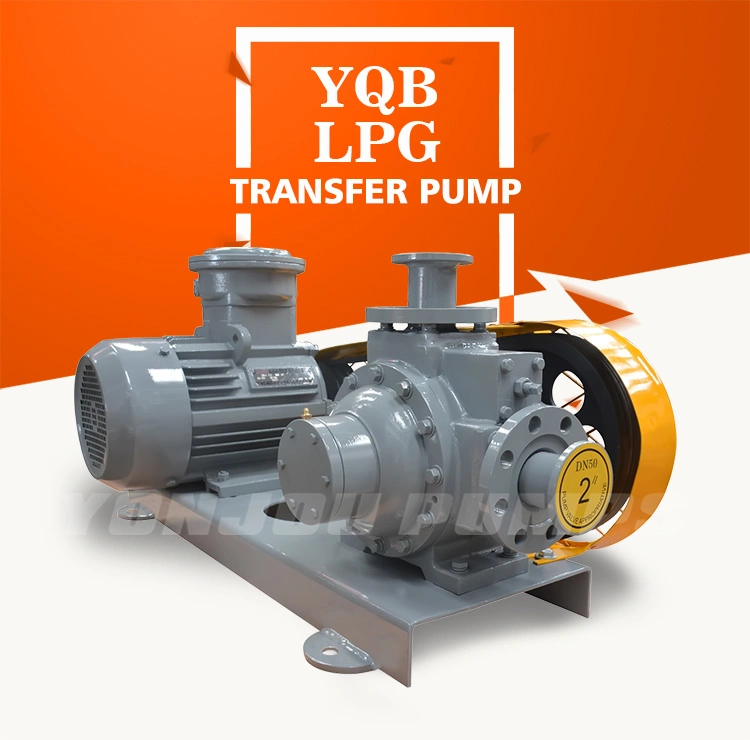 LPG Transfer Pump