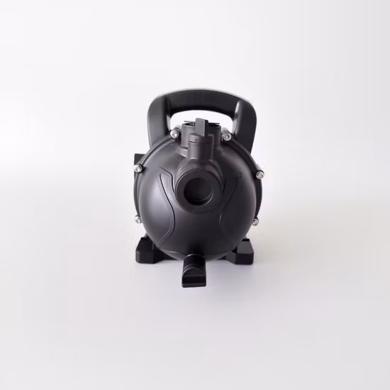 CE 승인을 받은 정원 펌프(AUTO-JETS-G)